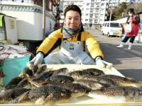 ショウサイフグ