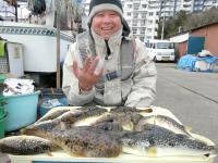 ショウサイフグ