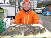 ショウサイフグ