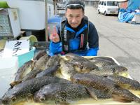 ショウサイフグ