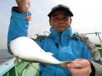 ショウサイフグ
