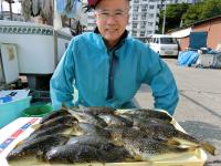 ショウサイフグ
