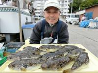ショウサイフグ