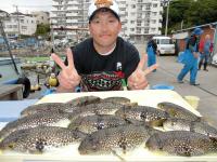 ショウサイフグ