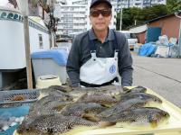 ショウサイフグ