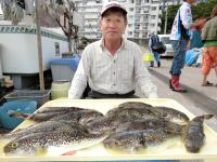 ショウサイフグ