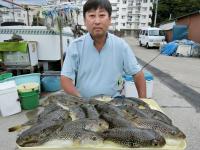 ショウサイフグ