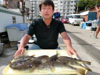 ショウサイフグ