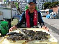 ショウサイフグ