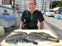 ショウサイフグ