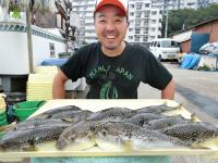 ショウサイフグ