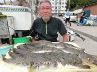 ショウサイフグ