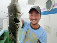 ショウサイフグ