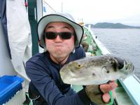 ショウサイフグ