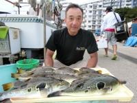 ショウサイフグ