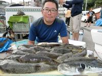 ショウサイフグ