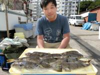 ショウサイフグ