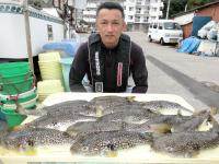 ショウサイフグ
