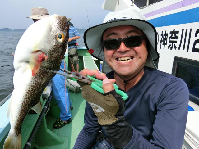 ショウサイフグ 釣り船 鴨居大室 一郎丸 東京湾 神奈川県 横須賀 三浦 ショウサイフグ 釣り船 鴨居大室 一郎丸 東京湾 神奈川県 横須賀 三浦