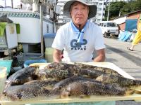 ショウサイフグ