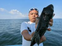 ショウサイフグ