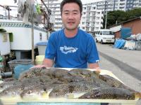 ショウサイフグ