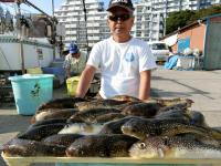 ショウサイフグ大漁です！！