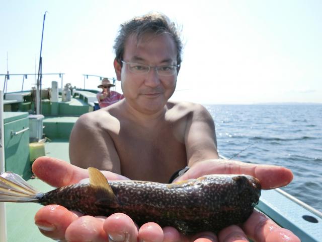 ショウサイフグ大漁です 釣り船 鴨居大室 一郎丸 東京湾 神奈川県 横須賀 三浦 ショウサイフグ大漁です 釣り船 鴨居大室 一郎丸 東京湾 神奈川県 横須賀 三浦