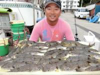 ショウサイフグ大漁です！！