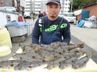 ショウサイフグ