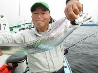 タチウオ・アジリレー