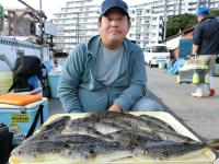 ショウサイフグ