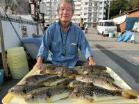 ショウサイフグ