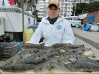 ショウサイフグ