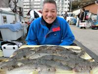 ショウサイフグ