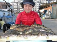 ショウサイフグ好調です！！