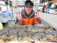 ふぐ釣り好調です！！