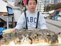 ふぐ釣り好調です！！