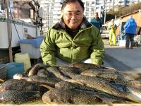 ショウサイフグ絶好調です！！