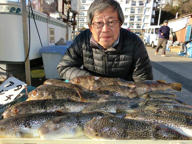 ふぐ釣り絶好調です 釣り船 鴨居大室 一郎丸 東京湾 神奈川県 横須賀 三浦