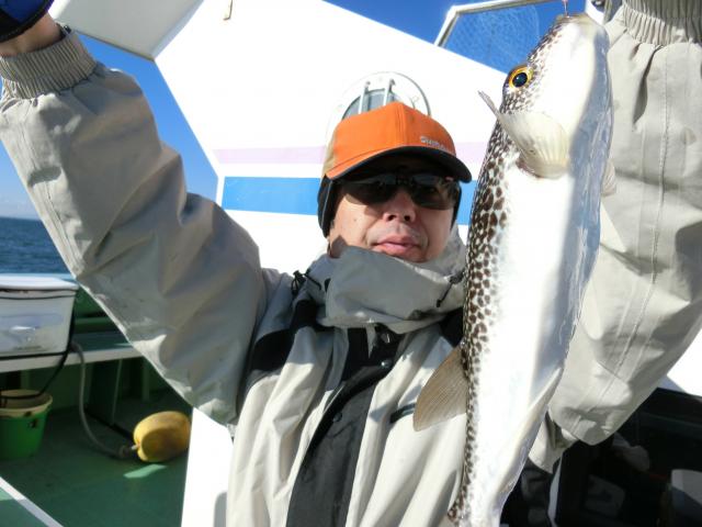 ふぐ釣り絶好調です 釣り船 鴨居大室 一郎丸 東京湾 神奈川県 横須賀 三浦 ふぐ釣り絶好調です 釣り船 鴨居大室 一郎丸 東京湾 神奈川県 横須賀 三浦