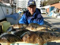 ふぐ絶好調です！！