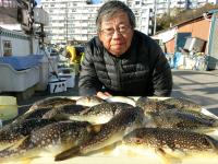 ふぐ釣り絶好調です！！