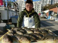 ふぐ釣り絶好調です！！