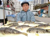 ふぐ釣り好調です！！