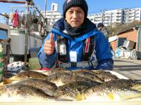 ふぐ釣り好調です！！