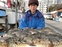 ふぐ釣り絶好調です！！
