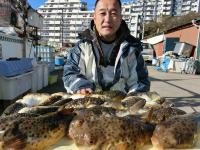 ふぐ釣り絶好調です！！
