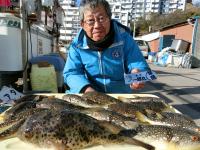 ふぐ釣り好調です！！