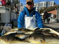 ふぐ釣り好調です！！